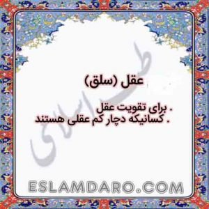داروی عقل (سلق) در طب اسلامی