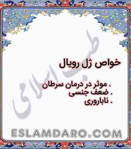 ژل رویال در طب اسلامی