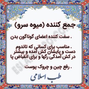 جمع کننده (میوه سرو)