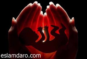 جلوگیری از سقط جنین در طب اسلامی