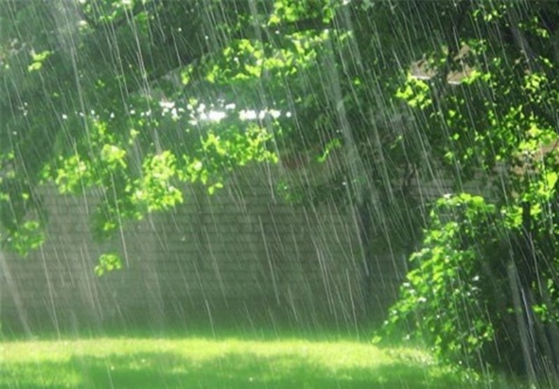 شفا بخشی آب باران در طب اسلامی