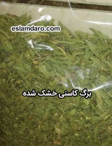 برگ کاسنی خشک شده