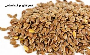 خواص تخم کتان