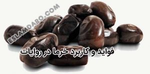 فواید و کاربرد خرما