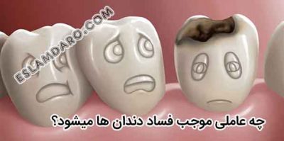 چه عاملی موجب فساد دندانها میشود؟