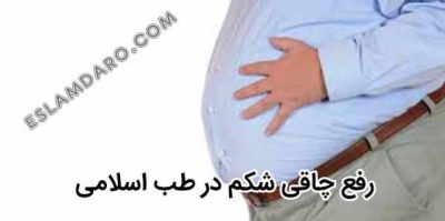 شکم
