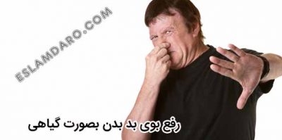 رفع بوی بد بدن بصورت گیاهی