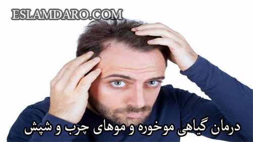 درمان گیاهی موخوره و موهای چرب و شپش