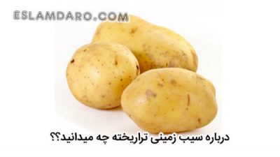 درباره سیب زمینی تراریخته