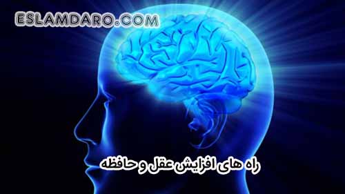 راه های افزایش و تقویت عقل و حافظه در طب اسلامی