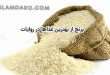 برنج در روایات