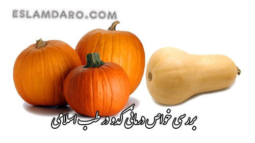 بررسی خواص درمانی کدو حلوایی و دیگر در طب اسلامی