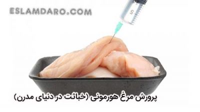 از طیبات بخورید تا بتوانید عمل صالح انجام دهید