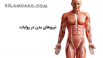 4 حالت نیروی بدن