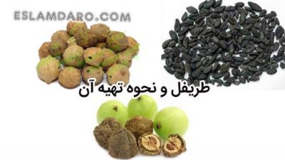 طریفل و ترکیبات ساخت