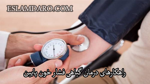 راهکارهای درمان گیاهی فشار خون پایین