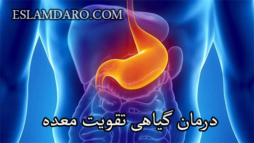 درمان گیاهی تقویت معده
