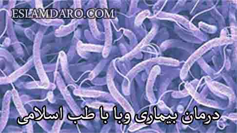 درمان بیماری وبا با طب اسلامی