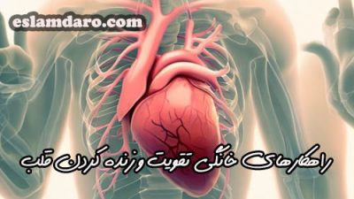 راهکارهای خانگی برای تقویت و زنده کردن قلب